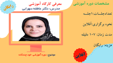 دوره آموزشی خود چندگانه