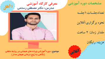 دوره آموزشی چرخه های هیجانی در روابط عاطفی (نگاهی به زوج دزمانی هیجان مدار)
